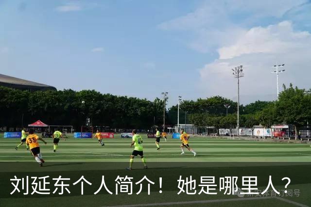 刘延东个人简介！她是哪里人？