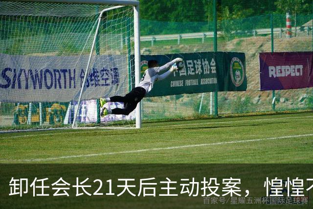 卸任会长21天后主动投案，惶惶不可终日背后藏着什么？