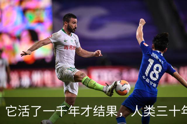 它活了一千年才结果，人类三十年砍光，消失的秘密至今无人能解