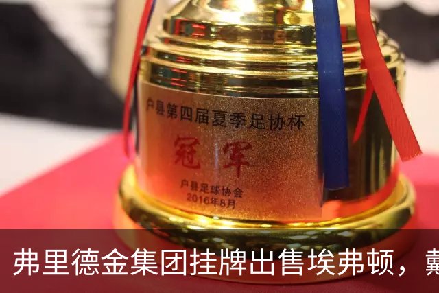 弗里德金集团挂牌出售埃弗顿，戴尔家族入局竞购