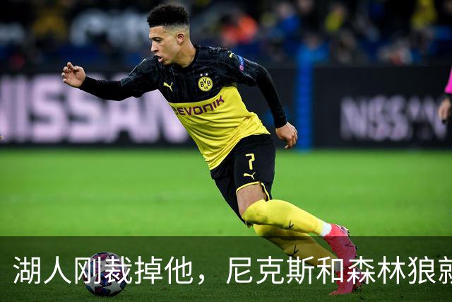 湖人刚裁掉他，尼克斯和森林狼就盯上了