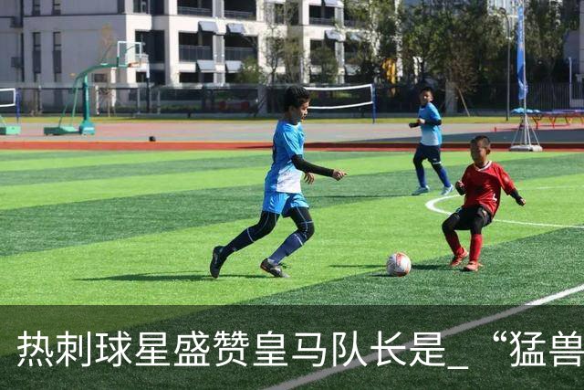 热刺球星盛赞皇马队长是 “猛兽”，认为回归他中场才是最优解；但穆帅需要取舍