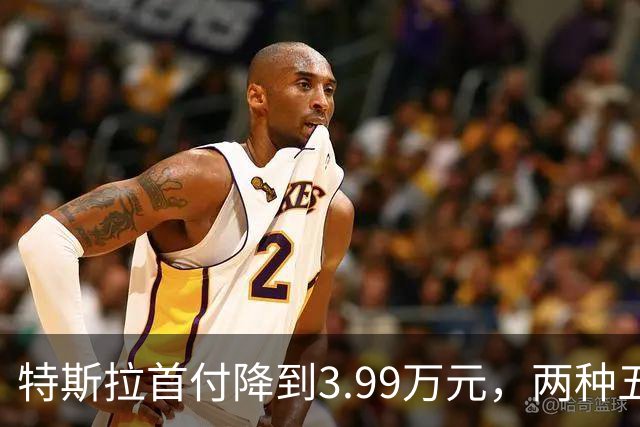 特斯拉首付降到3.99万元，两种五年免息方案怎么选？一文讲清楚