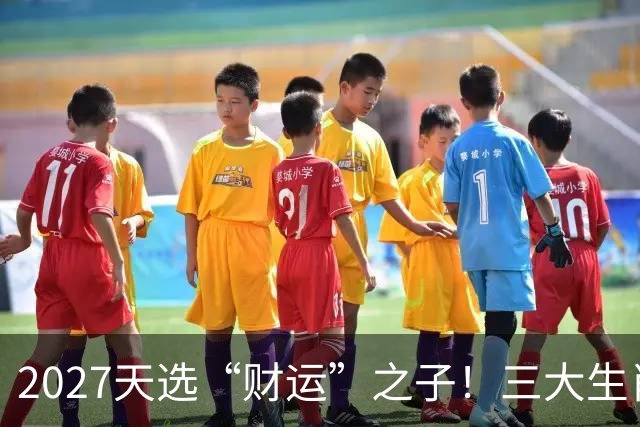 2027天选“财运”之子！三大生肖福气高照，一路旺运到年尾！